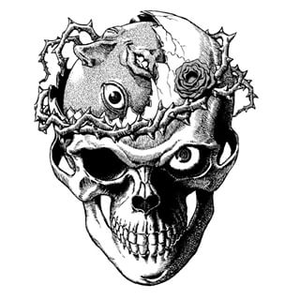 Foto de perfil de Vitor Lourenço