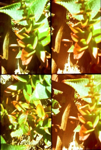 Poster 1 de Filme Jardines (2012)