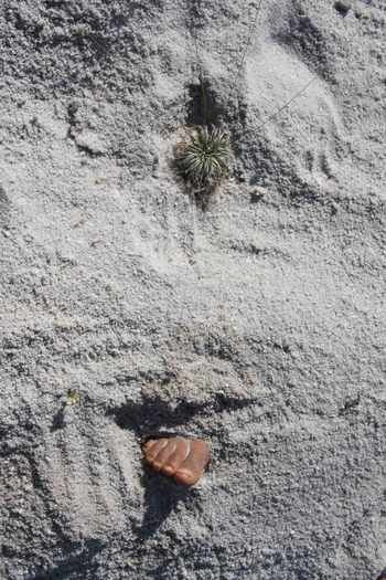  de Filme Sopro (2013)