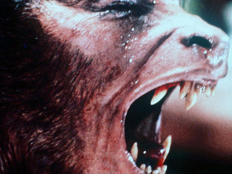 Foto 6 de Um Lobisomem Americano em Londres