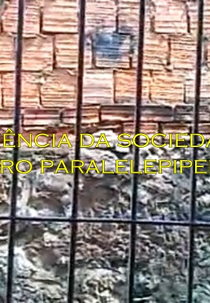 Frequência da Sociedade de Barro Paralelepipedal (Frequência da Sociedade de Barro Paralelepipedal)