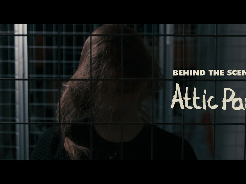 Foto 2 de Attic Panic