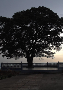 La Lune Est Tombée (La Lune Est Tombée)