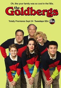 Os Goldbergs (1ª Temporada) (The Goldbergs (Season 1))
