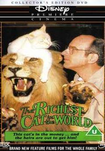 O Gato Mais Rico do Mundo (The Richest Cat In The World)