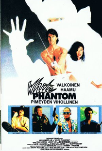 O Ninja Branco: Inimigo da Escuridão - Poster / Capa / Cartaz - Oficial 2