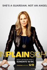 Testemunha Ocular (4ª Temporada) (In Plain Sight)