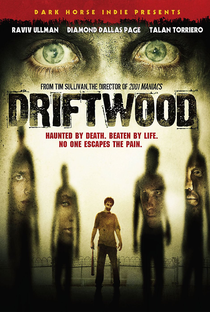 Driftwood: O Reformatório - Poster / Capa / Cartaz - Oficial 5
