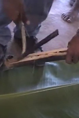 Quem Não Come com a Gente (Quem Não Come com a Gente)