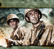 Combate (3ª Temporada)