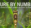 Nature By Numbers