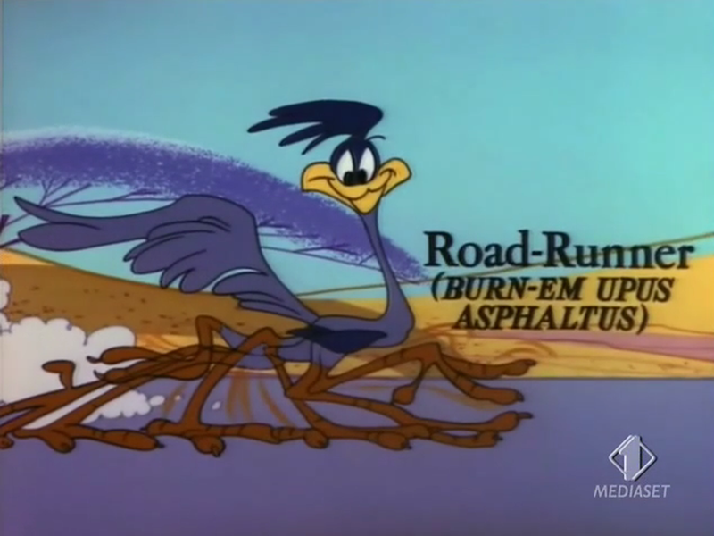 Foto 4 de Guerra e Peças