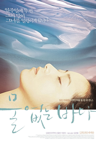 Poster 1 de Filme Sea Without Water (2011)