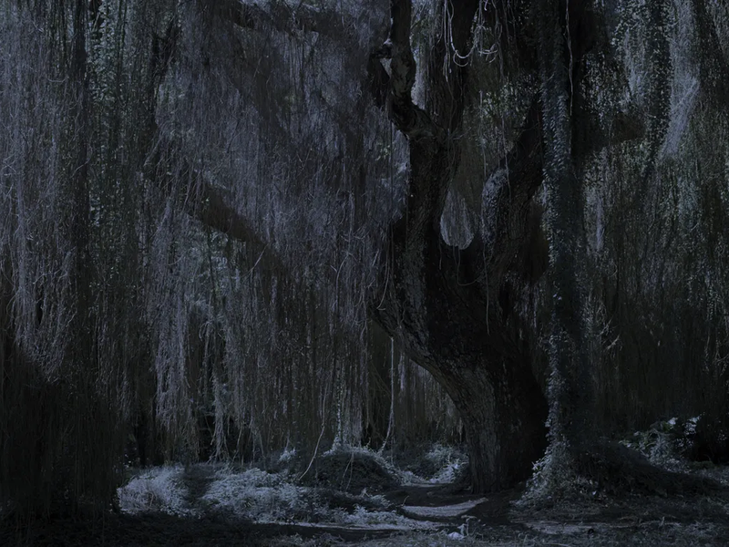 Foto 2 de O mar também é seu