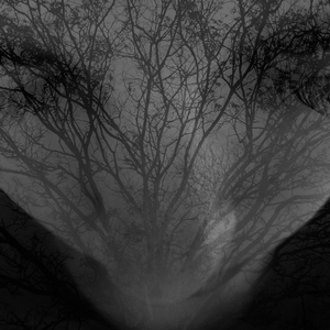 Foto de perfil de Gabriela C. Castro