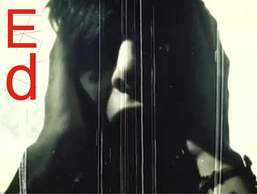 Eddie - Foto 5