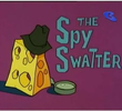 The Spy Swatter