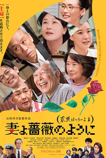 What A Wonderful Family! 3: My Wife, My Life - Poster / Capa / Cartaz - Oficial 1