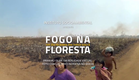 Fogo na Floresta | Trailer