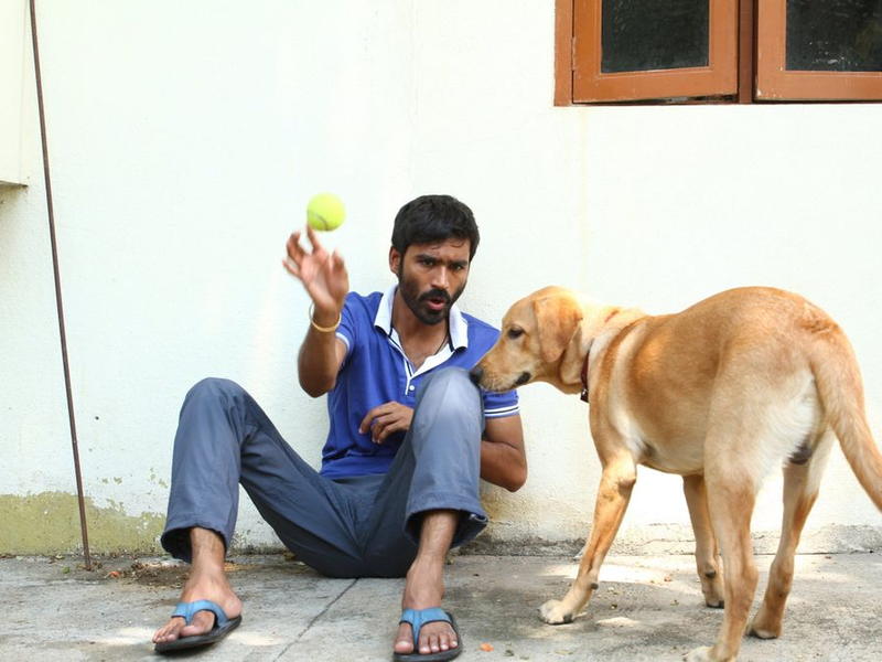 Foto 17 de Velaiyilla Pattathari