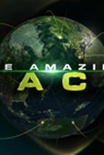 The Amazing Race (20ª Temporada) - Poster / Capa / Cartaz - Oficial 1