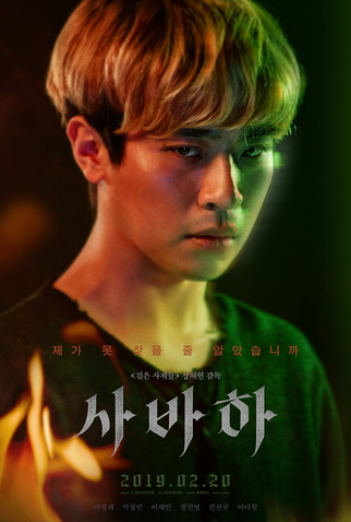 Poster 5 de Filme O Mistério das Garotas Perdidas (2019)