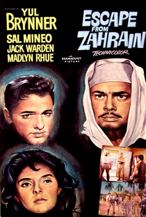 Os Fugitivos de Zahrain - Poster / Capa / Cartaz - Oficial 2