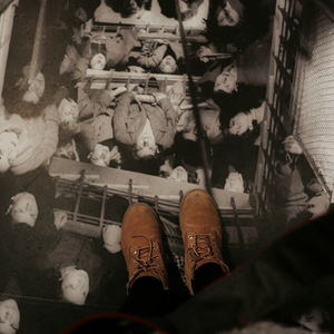 Foto de perfil de I.