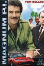 Magnum (5ª Temporada) (Magnum, P.I. (Season 5))