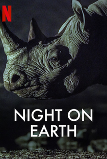 A Terra à Noite - Poster / Capa / Cartaz - Oficial 2