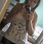Joice