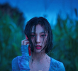 아무도 없는 숲속에서