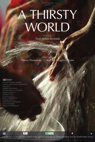 Poster 2 de Filme Um Mundo Sedento (2012)