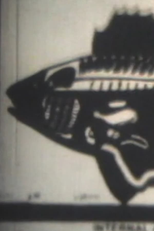 Something Fishy (Something Fishy)