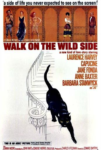 Poster 1 de Filme Pelos Bairros do Vício (1962)