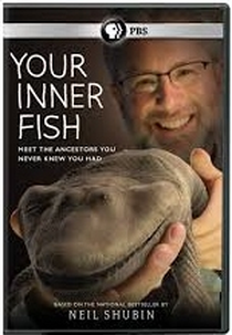 Quando eramos peixes (Your Inner Fish)