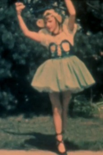 Poster de Curta She/Va (1973)