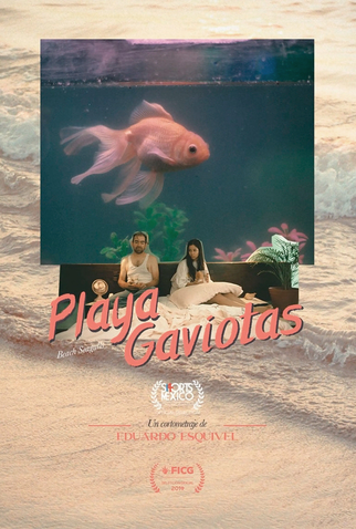 Poster 3 de Curta Playa Gaviotas (2019)