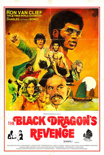 O Dragão Negro vinga a morte de Bruce Lee - Poster / Capa / Cartaz - Oficial 3