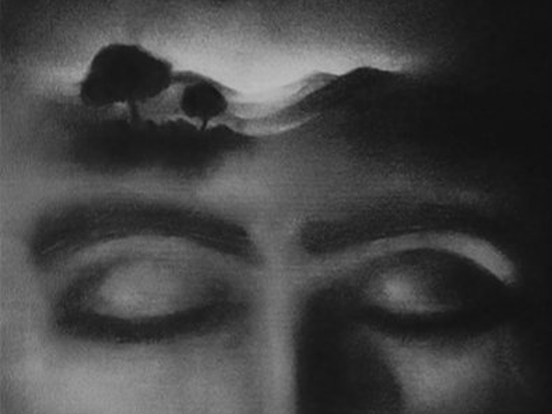 Foto 1 de Le Paysagiste