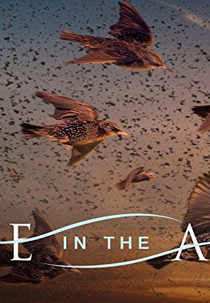 A Vida no Ar (Life in the Air)