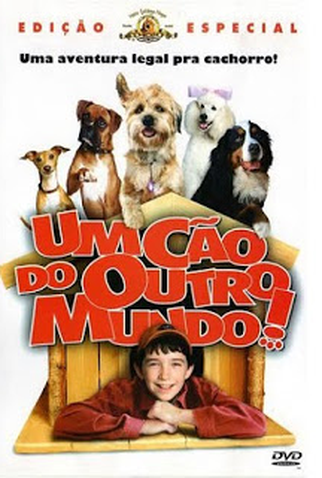 Poster 2 de Filme Um Cão do Outro Mundo (2003)