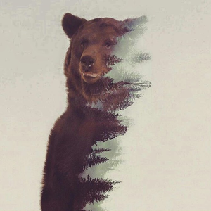 Foto de perfil de Ane