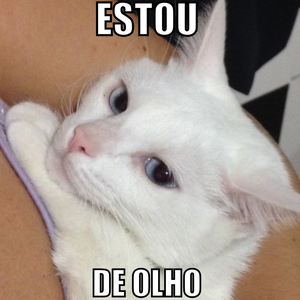 Foto de perfil de Gabs