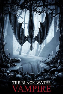 O Assassino das Sombras - Poster / Capa / Cartaz - Oficial 2