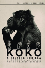 Koko: A Talking Gorilla (Koko, le gorille qui parle)