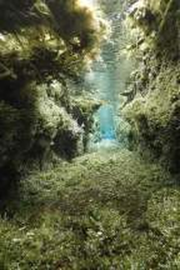 Poster de Curta A Correnteza X (2020)