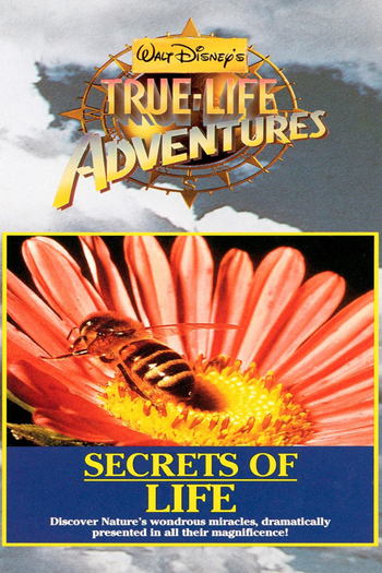  de Filme Segredos da Vida (1956)