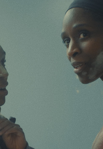 Snow Flakes (Snow Flakes)