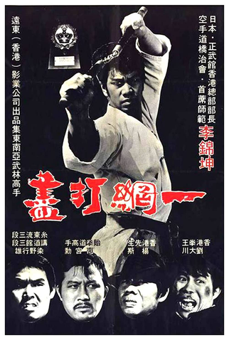 Poster 1 de Filme The Thunder Kick (1973)